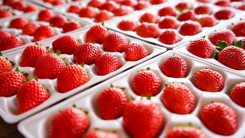 Strawberry skyberry photo